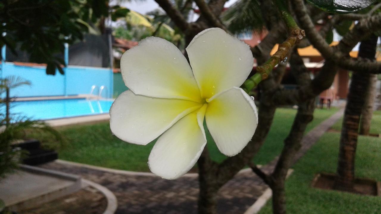 Larn'S Villa Hotel & Apartment 瓦都瓦 外观 照片